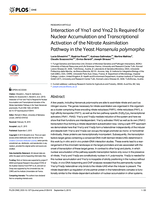Interaction of Yna1 and Yna2 is required for nuclear accumulation and transcriptional activation of the nitrate assimilation pathway in the yeast Hansenula polymorpha
