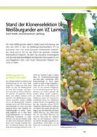 Stand der Klonenselektion bei Weißburgunder am VZ Laimburg