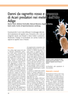Danni da ragnetto rosso e presenza di Acari predatori nei meleti dell’Alto Adige