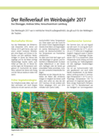 Der Reifeverlauf im Weinbaujahr 2017