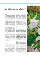 Die Witterung im Jahr 2017
