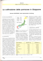 La coltivazione delle pomacee in Giappone