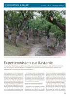 Experten-Wissen zur Kastanie