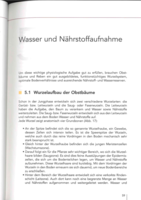 Wasser und Nährstoffaufnahme