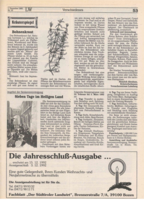 Bohnenkraut