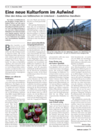 Eine neue Kulturform im Aufwind. Über den Anbau von Süßkirschen im Unterland - Zusätzliches Standbein