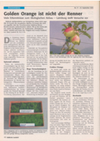 Golden Orange ist nicht der Renner