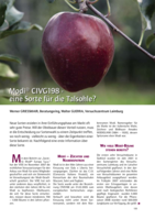 Modì® CIVG198 - eine Sorte für die Talsohle?