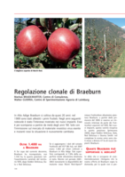 Regolazione clonale di Braeburn