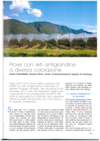 Prove con reti antigrandine a diversa colorazione