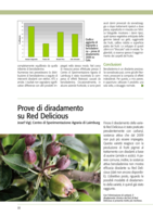 Prove di diradamento su Red Delicious