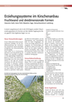 Erziehungssysteme im Kirschenanbau, Fruchtwand und dreidimensionale Formen