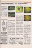 Alternaria alternata eine neue Krankheit