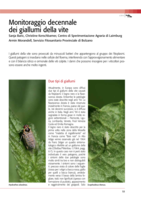 Monitoraggio decennale dei giallumi della vite