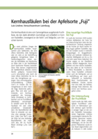 Kernhausfäulen bei der Apfelsorte „Fuji“