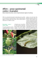 Affirm - prove sperimentali contro i ricamatori