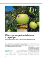 Affirm - prove sperimentali contro la carpocapsa