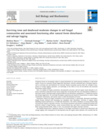 Surviving trees and deadwood moderate changes in soil fungal communities and associated functioning after natural forest disturbance and salvage logging
