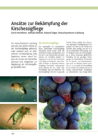 Ansätze zur Bekämpfung der Kirschessigfliege