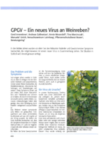 GPGV - ein neues Virus an Weinreben?