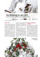 Die Witterung 2013