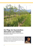 Die Pflege des Baumstreifens - Alternativen zum Herbizid