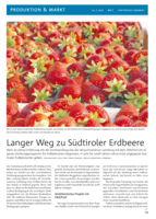 Langer Weg zu Südtiroler Erdbeere