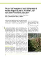 Il ruolo del magnesio nella comparsa di necrosi fogliari sulla cv. Nicoter/Kanzi®