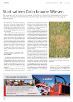 Statt sattem Grün braune Wiesen