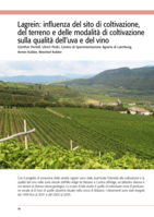Lagrein: influenza del sito di coltivazione del terreno e delle modalità di coltivazione sulla qualità dell'uva e del vino