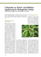 Carbonate zur Schorf- und Mehltauregulierung im ökologischen Anbau