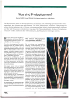 Was sind Phytoplasmen