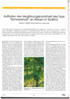 Auftreten der Vergilbungskrankheit des Typs 'Schwarzholz' an Reben in Südtirol