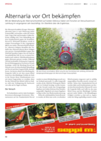 Alternaria vor Ort bekämpfen