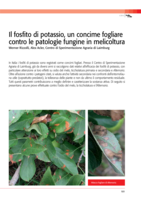 Il fosfito di potassio, un concime fogliare contro le patologìe fungine in melicoltura