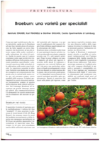 Braeburn: una varietà per specialisti