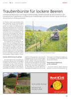 Traubenbürste für lockere Beeren