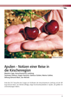 Apulien - Notizen einer Reise in die Kirschenregion