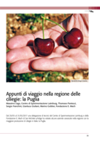 Appunti di viaggio nella regione delle ciliegie, la Puglia