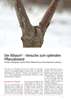 Der Bibaum - Versuche zum optimalen Pflanzabstand