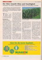 Der Mais braucht Hitze und Feuchtigkeit