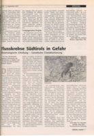 Flusskrebse Südtirols in Gefahr