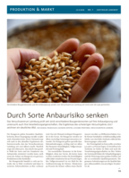 Durch Sorte Anbaurisiko senken