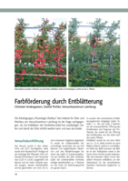 Farbförderung durch Entblätterung