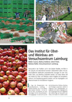 Das Institut für Obst- und Weinbau am Versuchszentrum Laimburg