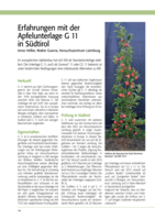 Erfahrungen mit der Apfelunterlage Geneva 11 in Südtirol