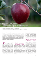 Modì® CIVG198 - una varietà per il fondovalle?