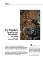 Die Bedeutung der richtigen Rebschnittvariante