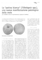 La "patina bianca" (Tilletiopsis spp.), una nuova manifestazione patologica delle mele