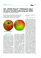 Der „Weiße Hauch“ (Tilletiopsis spp.) als neue Schaderscheinung am Apfel